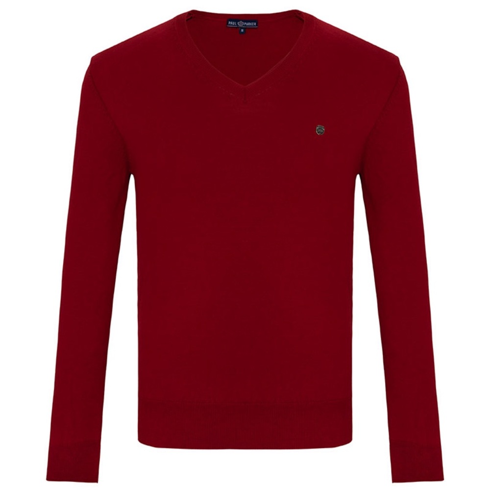 Paul Parker V-Neck Pullover Sweater
